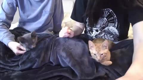 Goddess Raven online show from 6, 12, 2024