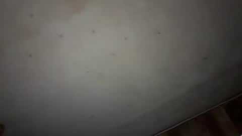 Snapshot of godseekingatheist chatting on 9, 11, 2025 godseekingatheist online show from 9, 11, 2025