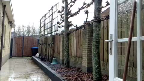 Snapshot of goldenelixxxir chatting on 23, 12, 2024   online show from 23, 12, 2024