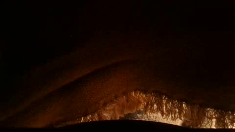 Serg online show from 3, 4, 2026