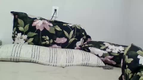 Snapshot of golflovergirl chatting on 10, 4, 2026 lightskingirl19 online show from 10, 4, 2026