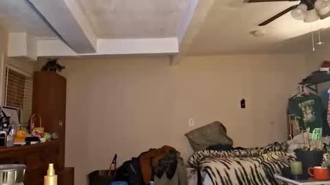 gonr369 online show from 17, 2, 2026