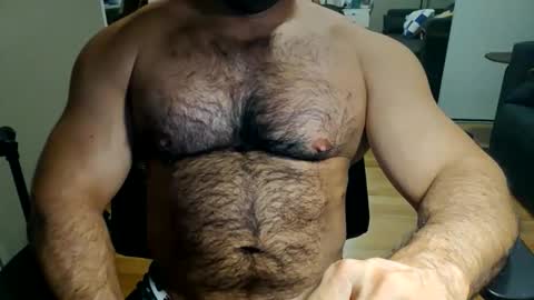 Snapshot of gorillaba chatting on 13, 4, 2026 gorillaba online show from 13, 4, 2026