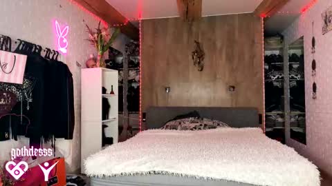    online show from 17, 2, 2026