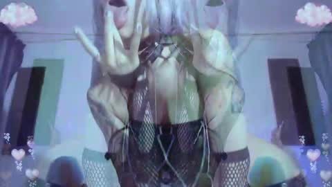        online show from 12, 5, 2026