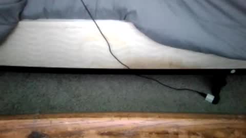 watch me stroke online show from 28, 6, 2026