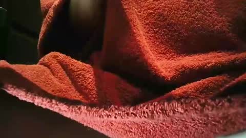 grapefruit online show from 1, 3, 2025