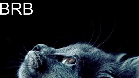 GrayceWild online show from 31, 1, 2025