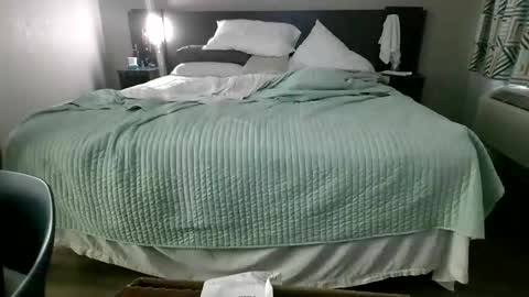 MrVein online show from 31, 1, 2026