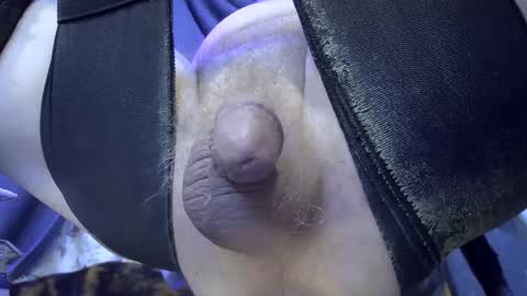 electrogee1 online show from 25, 2, 2025