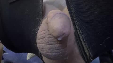 Snapshot of gregbball1 chatting on 19, 2, 2026 electrogee1 online show from 19, 2, 2026