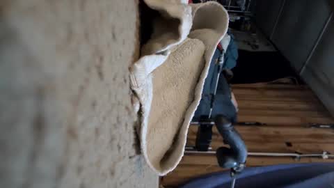 Snapshot of gregbball1 chatting on 15, 3, 2026 electrogee1 online show from 15, 3, 2026