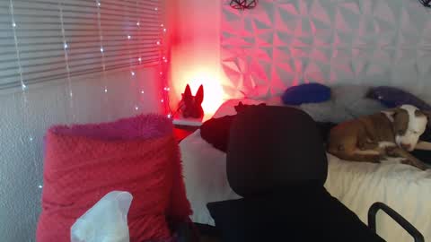 Snapshot of gretta_n_dannie chatting on 14, 1, 2025 Gretta n dannie online show from 14, 1, 2025