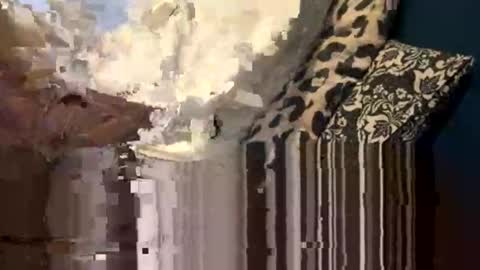 Snapshot of greymen2020 chatting on 16, 2, 2026 greymen2020 online show from 16, 2, 2026