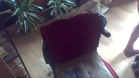 Guido online show from 26, 7, 2026