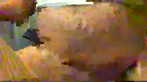 Snapshot of gtnolder60 chatting on 15, 12, 2024 Gary online show from 15, 12, 2024