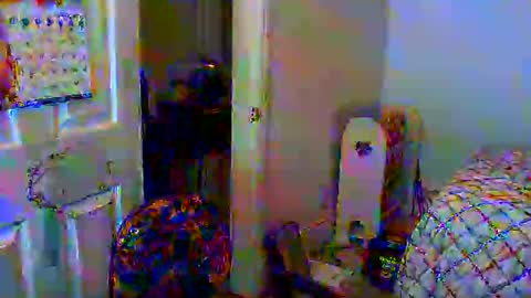 Snapshot of gtnolder60 chatting on 6, 1, 2025 Gary online show from 6, 1, 2025