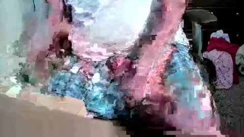 gtr345 online show from 7, 4, 2026