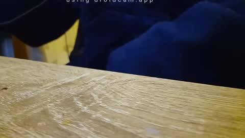 Franky online show from 18, 9, 2025