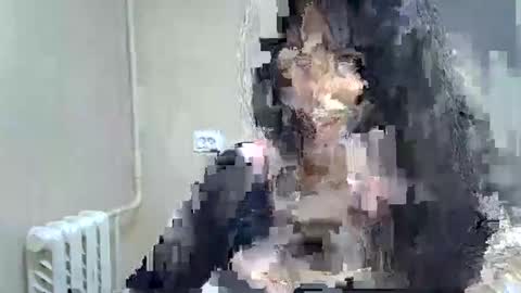Snapshot of gusumah chatting on 22, 2, 2025 GusumAh online show from 22, 2, 2025