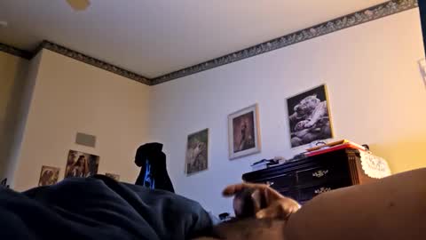 Habu online show from 31, 1, 2026