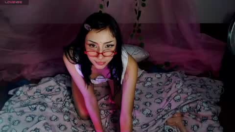 Hachi 3 online show from 15, 7, 2026