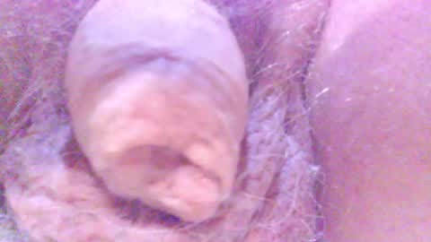 hagridthehorrible online show from 5, 2, 2025