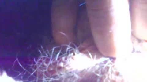 hagridthehorrible online show from 1, 11, 2025