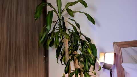 Snapshot of hailey_firee chatting on 10, 2, 2026 Hailey online show from 10, 2, 2026