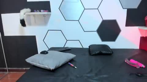 haileycat_ online show from 21, 12, 2024