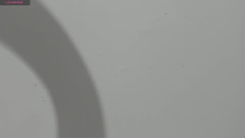 Hailey online show from 13, 3, 2026