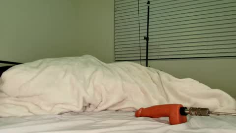 HailWilds online show from 18, 2, 2026