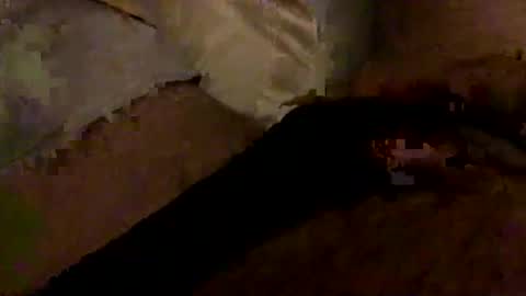 Bruce online show from 10, 1, 2026