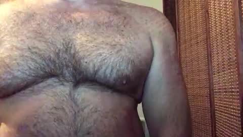 Bruce online show from 24, 5, 2026