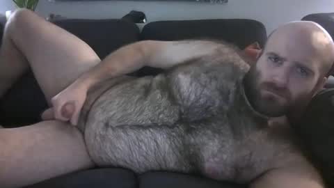 Snapshot of hairiestbear chatting on 21, 12, 2025 Hairiest Bear online show from 21, 12, 2025