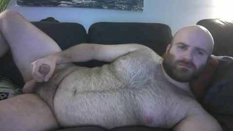 Hairiest Bear online show from 8, 3, 2026