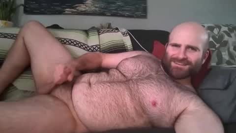 Hairiest Bear online show from 17, 3, 2026