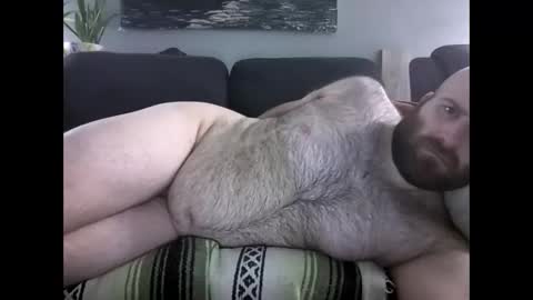 Hairiest Bear online show from 28, 3, 2026