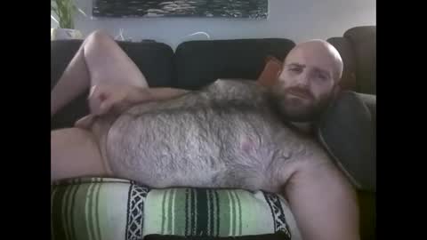 Hairiest Bear online show from 30, 5, 2026