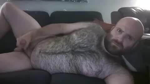 Hairiest Bear online show from 31, 5, 2026