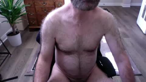 HairyArchTex online show from 1, 10, 2025
