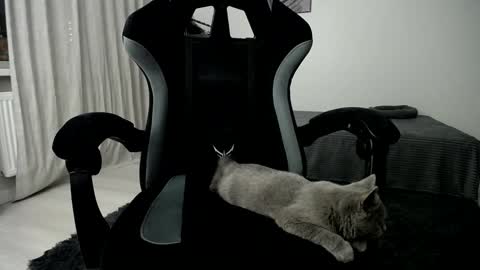 Adam online show from 10, 1, 2025