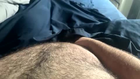 Snapshot of hairynicedaddy chatting on 5, 5, 2026 hairynicedaddy online show from 5, 5, 2026