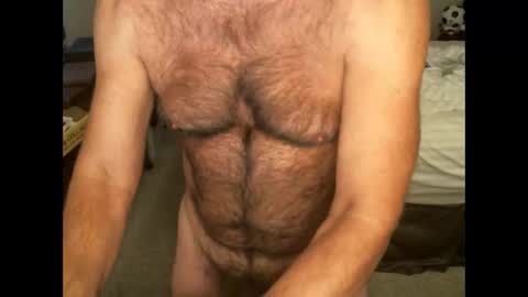 Snapshot of hairypecsguy chatting on 2, 11, 2025 Hairy pecs online show from 2, 11, 2025