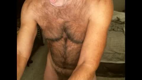 Snapshot of hairypecsguy chatting on 9, 11, 2025 Hairy pecs online show from 9, 11, 2025