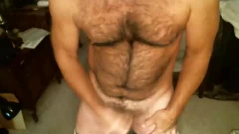 Snapshot of hairypecsguy chatting on 24, 11, 2025 Hairy pecs online show from 24, 11, 2025