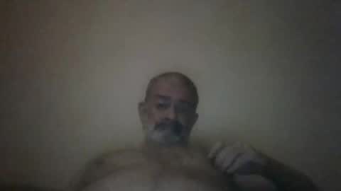 Snapshot of hairypigsyd chatting on 1, 3, 2025 HairyPigSyd online show from 1, 3, 2025