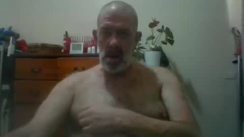 Snapshot of hairypigsyd chatting on 14, 11, 2025 HairyPigSyd online show from 14, 11, 2025