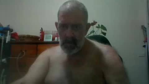 Snapshot of hairypigsyd chatting on 19, 11, 2025 HairyPigSyd online show from 19, 11, 2025