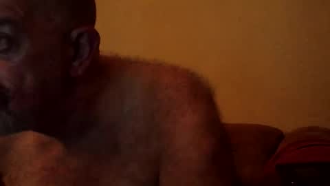 Snapshot of hairypigsyd chatting on 23, 12, 2025 HairyPigSyd online show from 23, 12, 2025